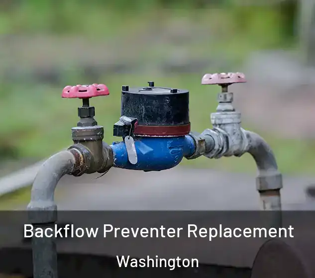  Backflow Preventer Replacement Washington