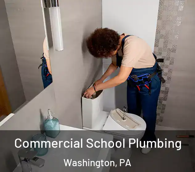  Commercial School Plumbing Washington, PA