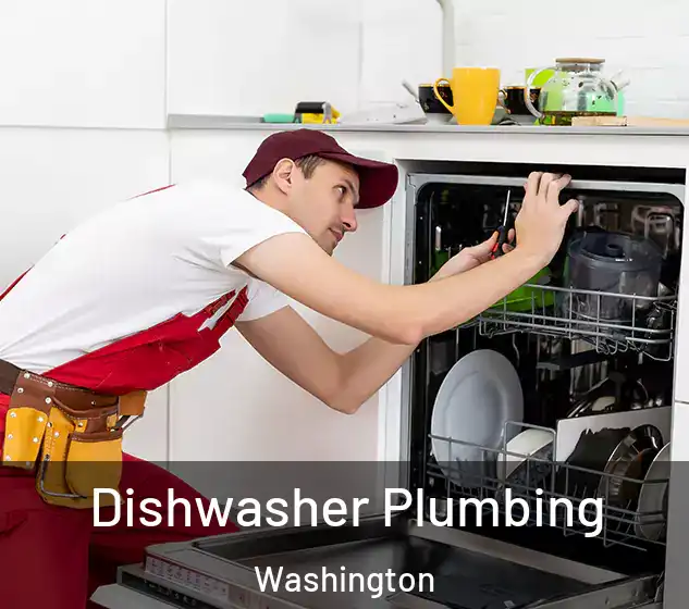  Dishwasher Plumbing Washington