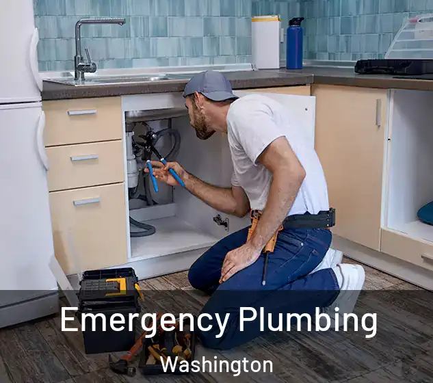  Emergency Plumbing Washington