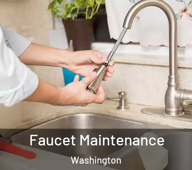  Faucet Maintenance Washington