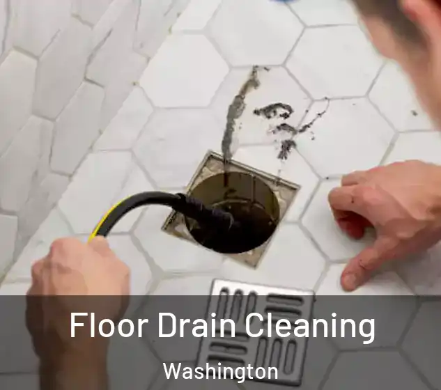  Floor Drain Cleaning Washington