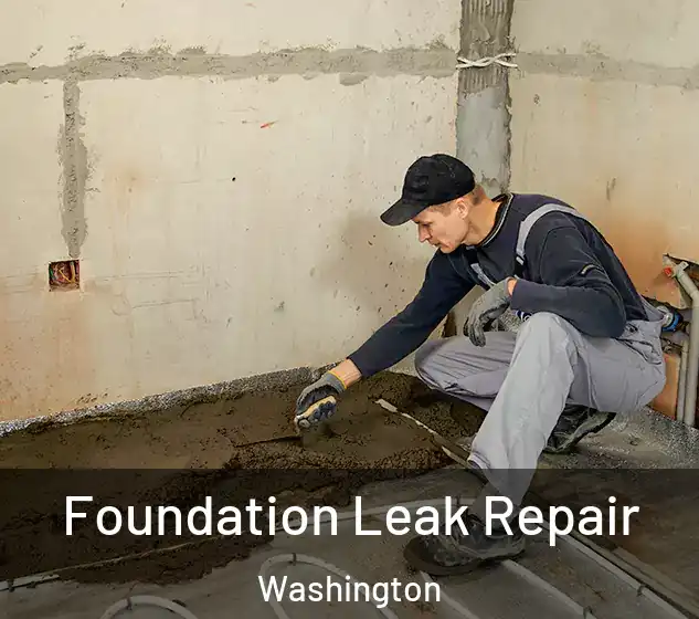  Foundation Leak Repair Washington