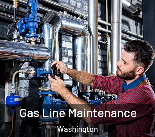  Gas Line Maintenance Washington