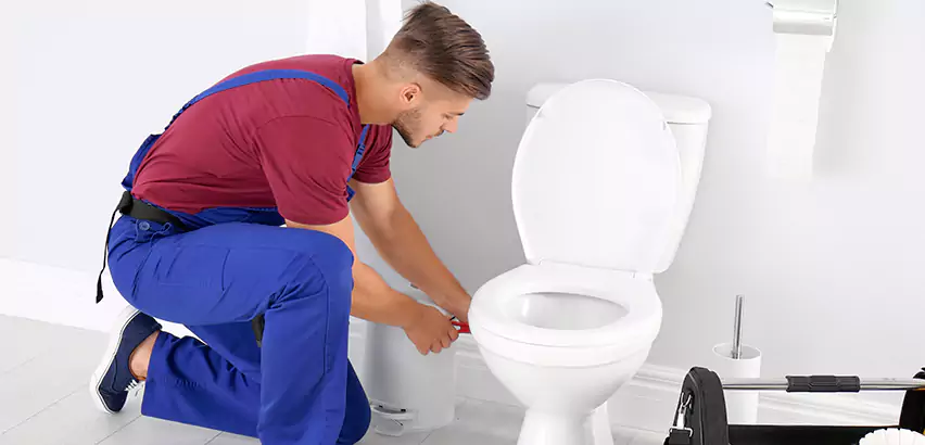 Scope of Bathroom Toilet Bowl Replacement Services in Washington, PA