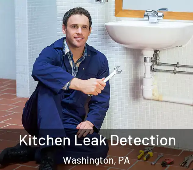  Kitchen Leak Detection Washington, PA