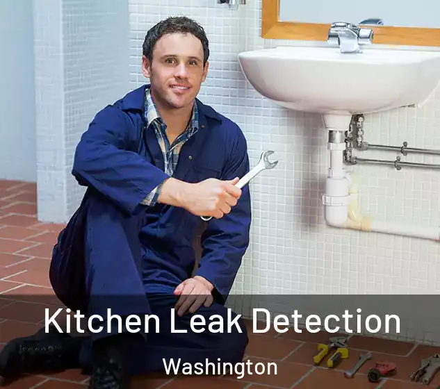  Kitchen Leak Detection Washington