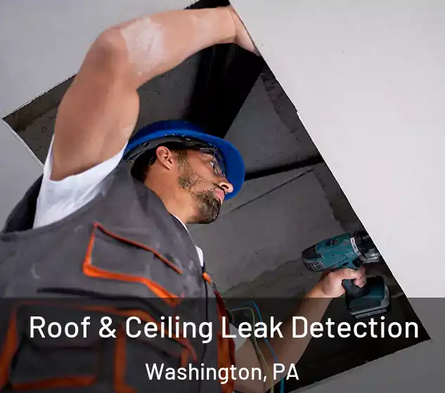 Roof & Ceiling Leak Detection Washington, PA