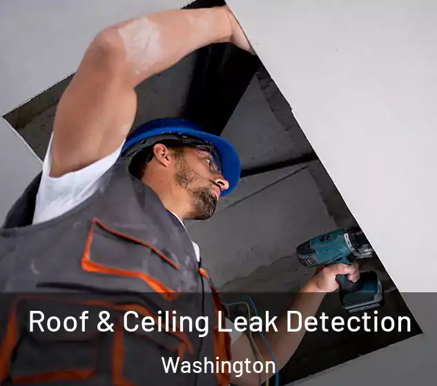  Roof & Ceiling Leak Detection Washington