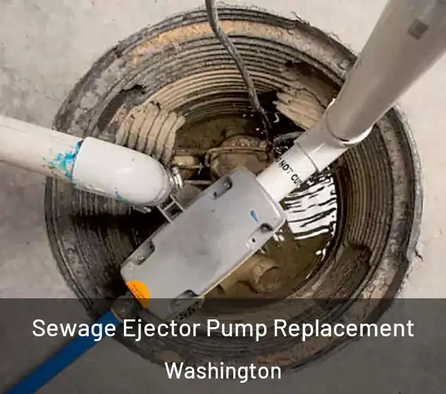  Sewage Ejector Pump Replacement Washington