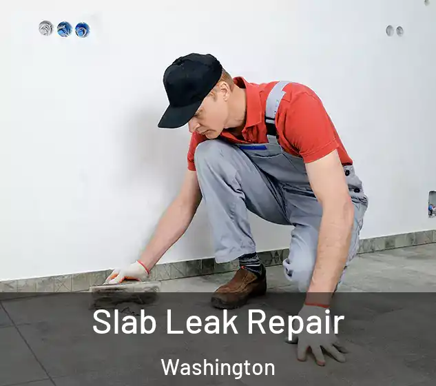  Slab Leak Repair Washington