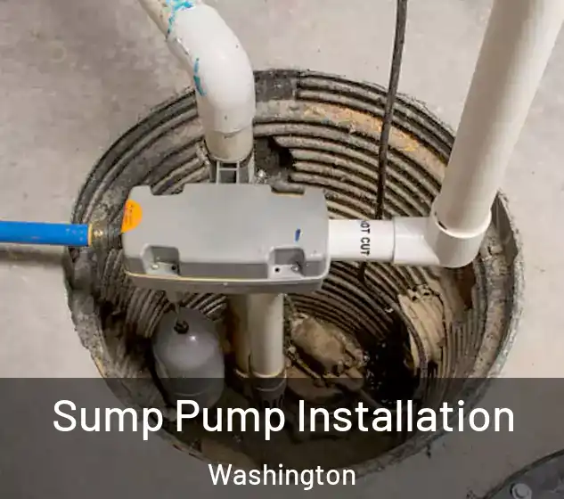  Sump Pump Installation Washington