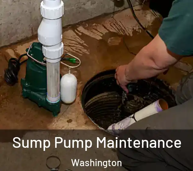  Sump Pump Maintenance Washington