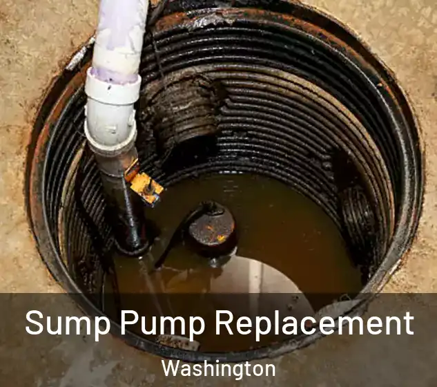  Sump Pump Replacement Washington