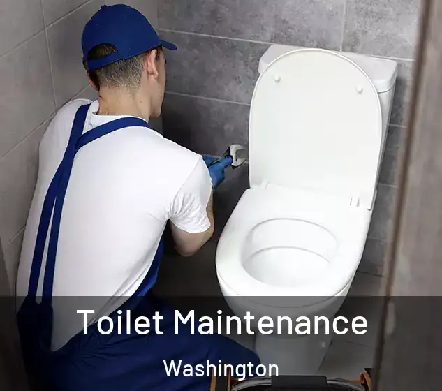  Toilet Maintenance Washington