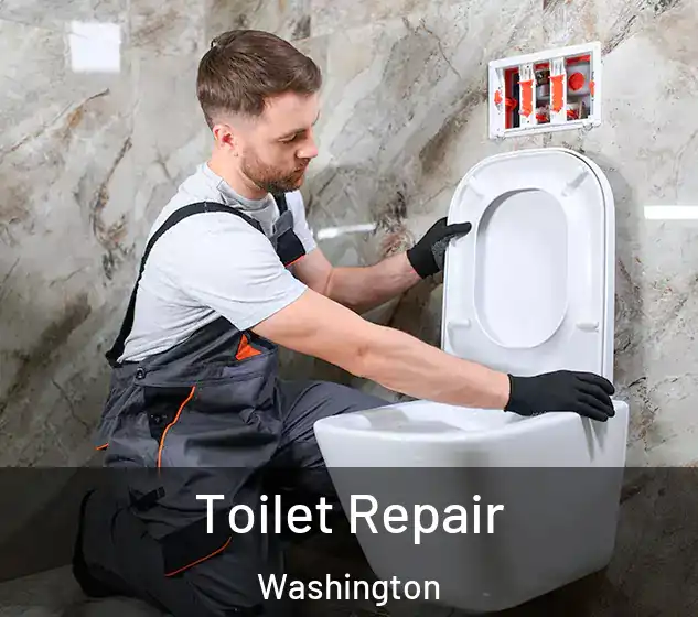  Toilet Repair Washington