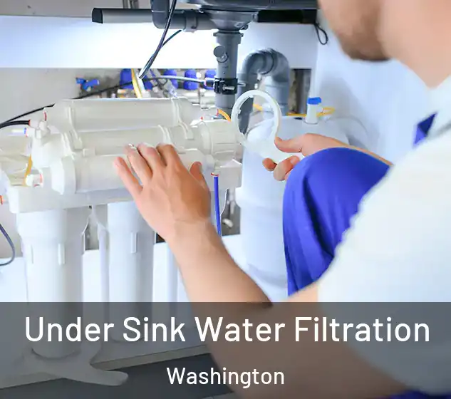  Under Sink Water Filtration Washington