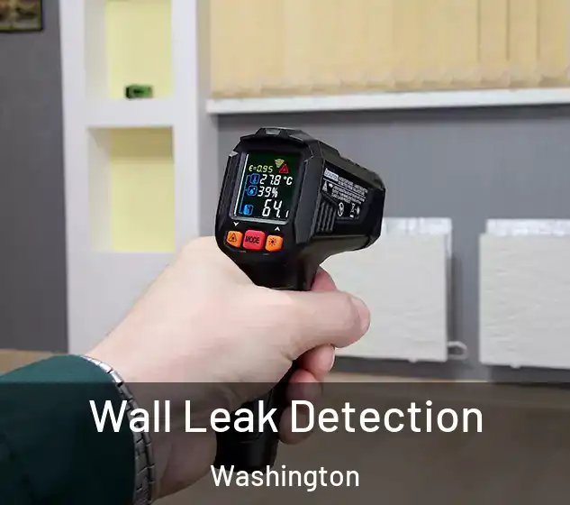  Wall Leak Detection Washington