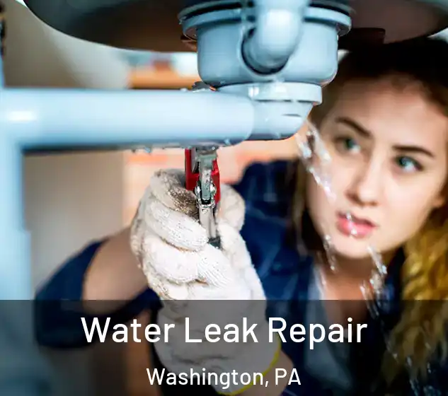  Water Leak Repair Washington, PA