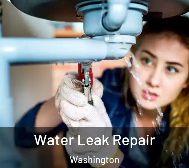  Water Leak Repair Washington